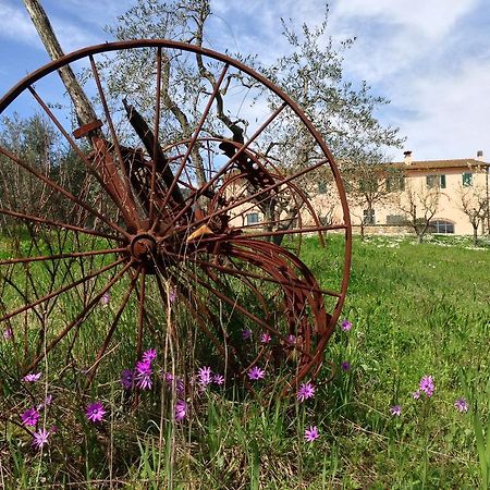 Agriturismo La Torricella Pistoia Zewnętrze zdjęcie