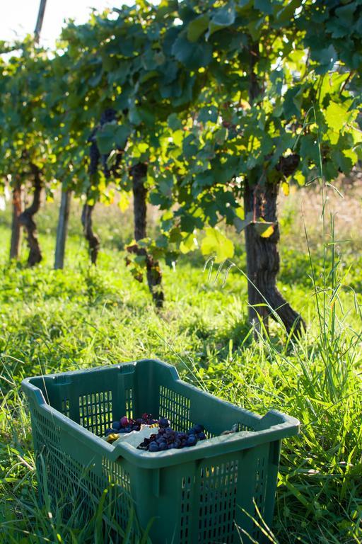 Agriturismo La Torricella Pistoia Zewnętrze zdjęcie